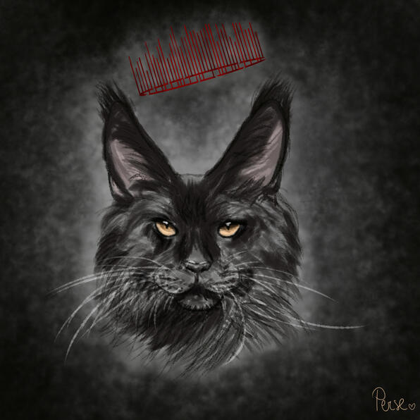 Petite Study d'un Main Coon trouvé sur Internet portant une couronne rouge flottante. | Travail au digital sur ClipStudioPaint.